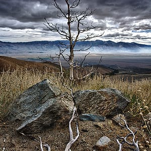 Eastern Sierra's © Oliver Tollison