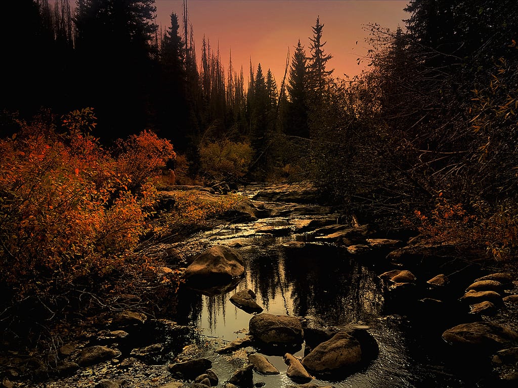 fall colors in Colorado