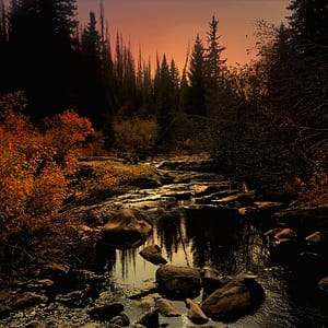fall colors in Colorado
