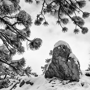 boulder in the snow