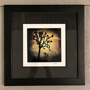Joshua Tree framed art