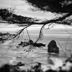 Oregon Coast photography by Oliver Tollison