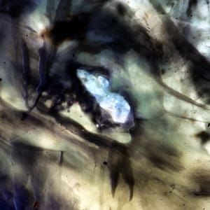 Lucid Apparitions by Oliver Tollison