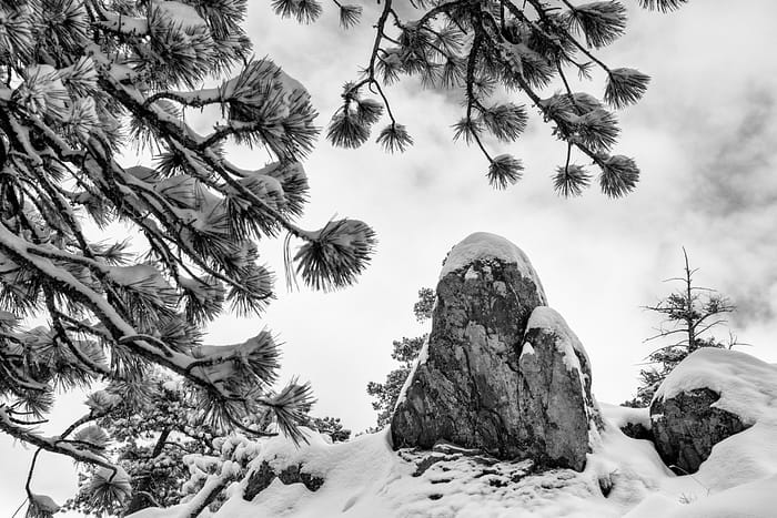 boulder in the snow