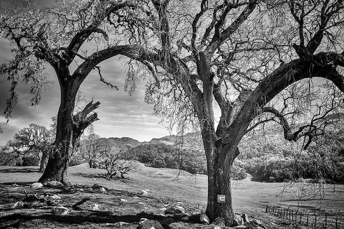 Santa Barbara landscape photography for sale