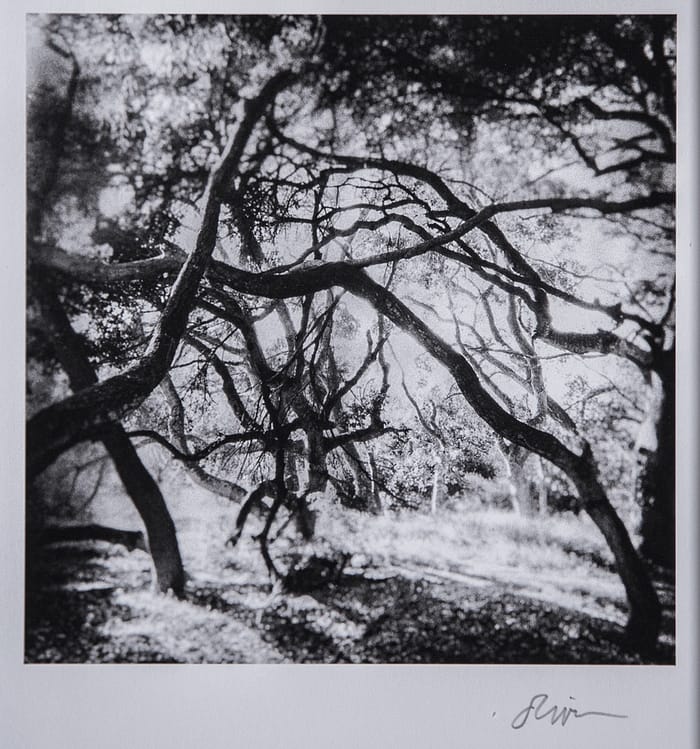 Santa Barbara Fine Art Photography