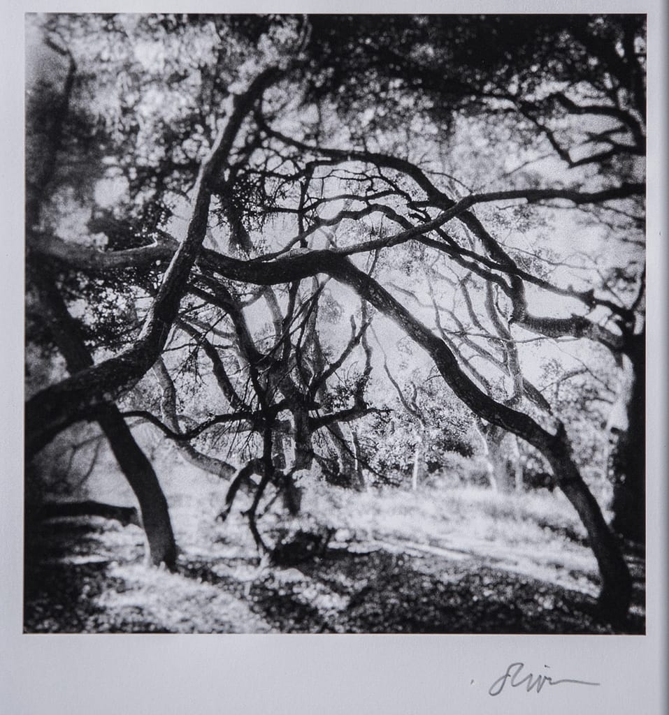 Santa Barbara Fine Art Photography